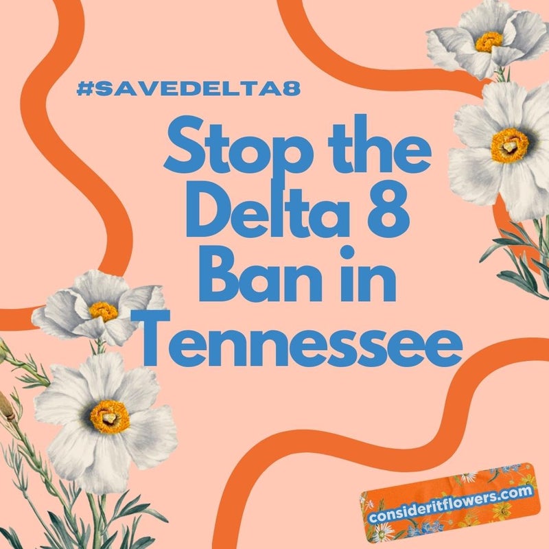 What’s Going On with the Proposed D8 Ban in Tennessee?