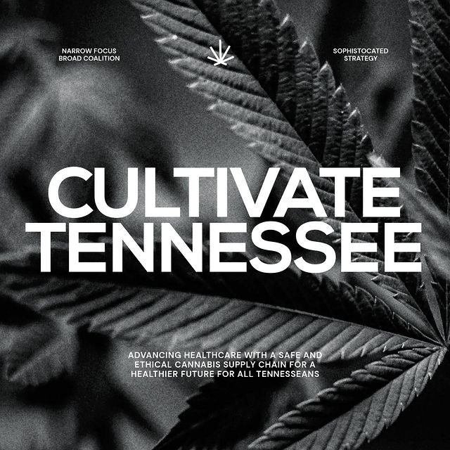 Who is Cultivate TN?